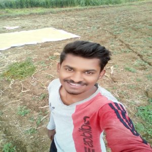 feedback